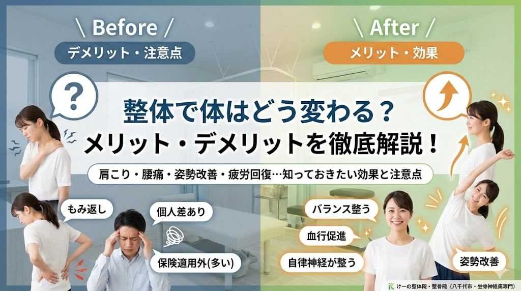 整体のメリット、デメリット